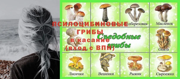 дурь Алексин