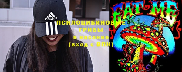 твердый Алексеевка